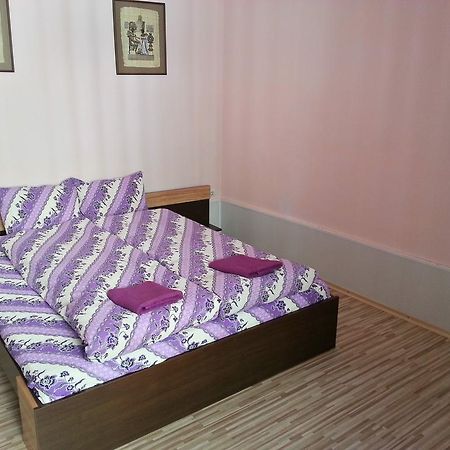 Guest House Zora Belogradçik Dış mekan fotoğraf