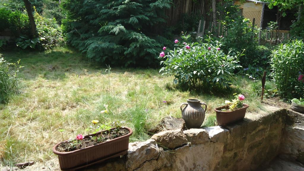 Guest House Zora Belogradçik Dış mekan fotoğraf